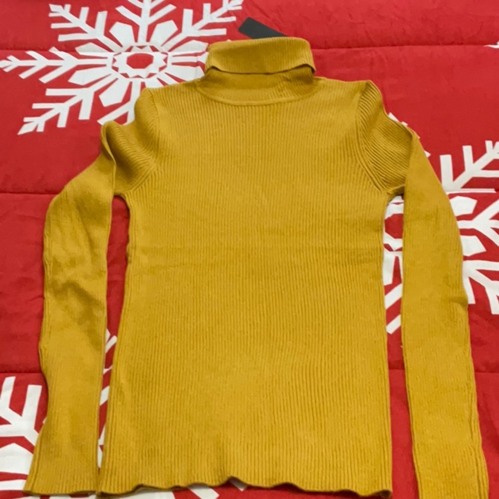 Woman’s ribbed turtleneck